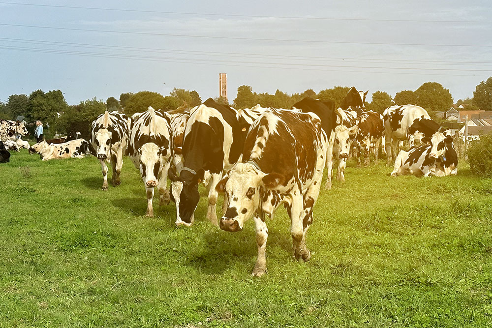 AIDSA - Ensemble, cultivons l'emploi