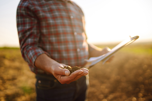 AIDSA - Ensemble, cultivons l'emploi - Entreprises
