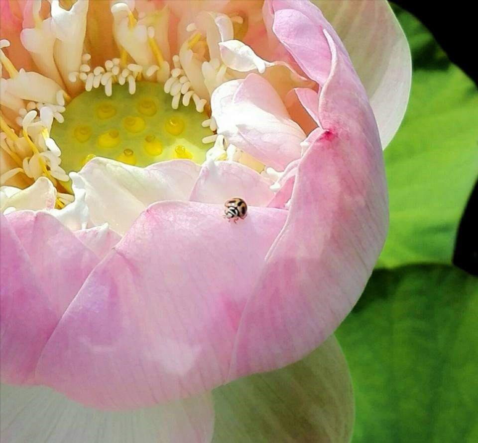 AIDSA - Ensemble, cultivons l'emploi - Candidats