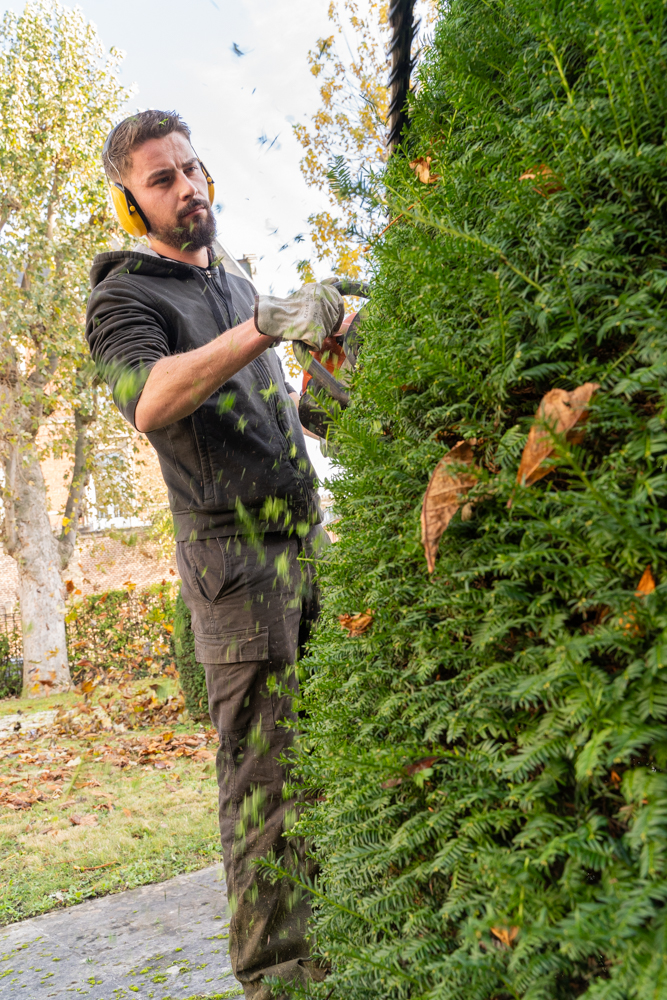 AIDSA - Ensemble, cultivons l'emploi