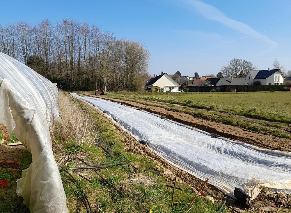 AIDSA - Ensemble, cultivons l'emploi - Candidats